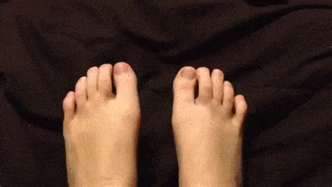 Feet gifs. Things To Know About Feet gifs. 